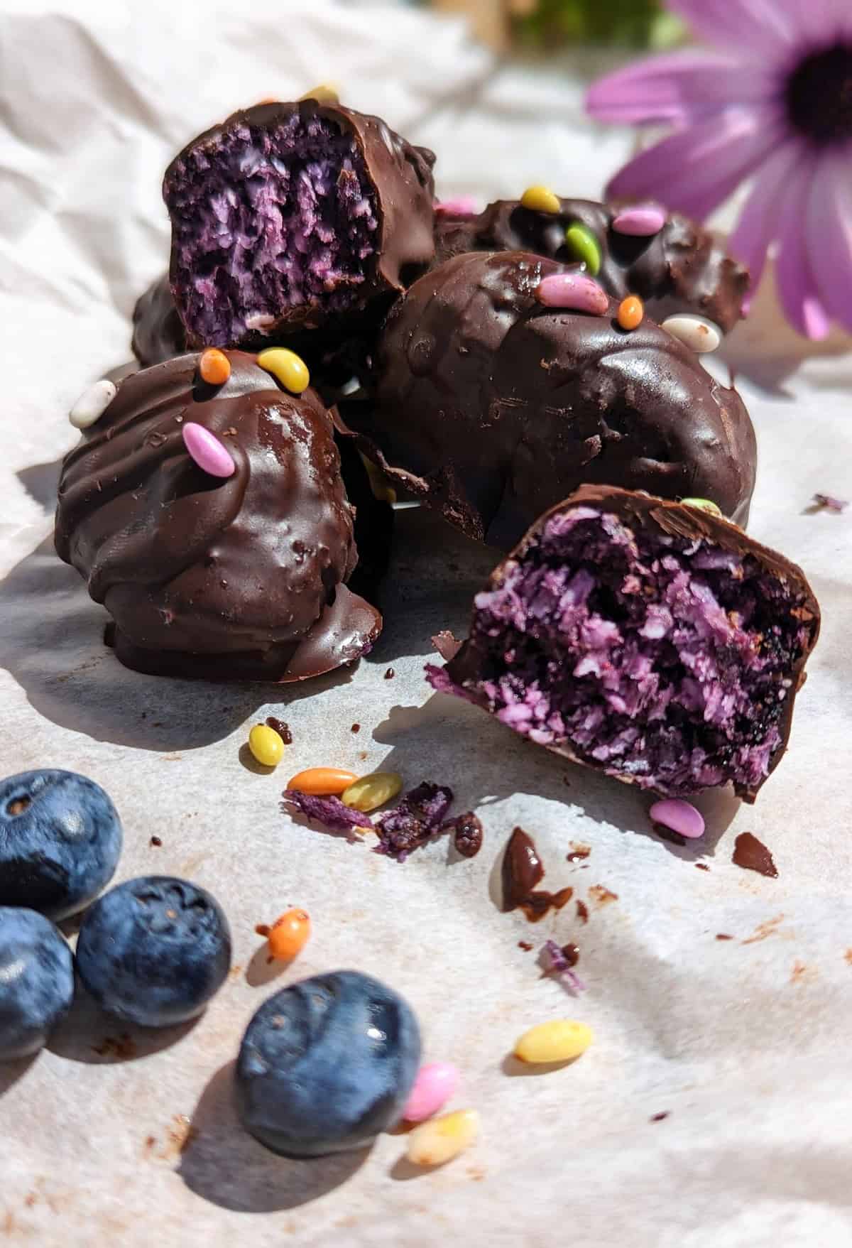 Chocolate Bounty Blueberry Bites topped with sugar-coated fennel seeds.