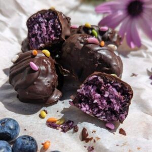 Chocolate Bounty Blueberry Bites with sugar-coated fennel seeds on top and in front with blueberries.