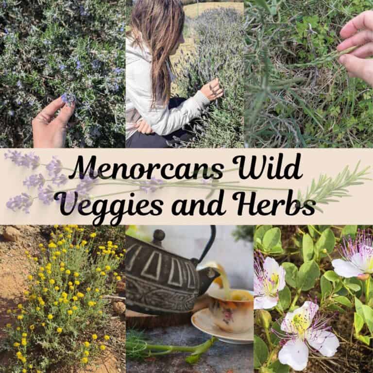 Foraging Menorca herbs and wild vegetables: rosemary, lavanda, aparagus, chamomile, fennel and capers.